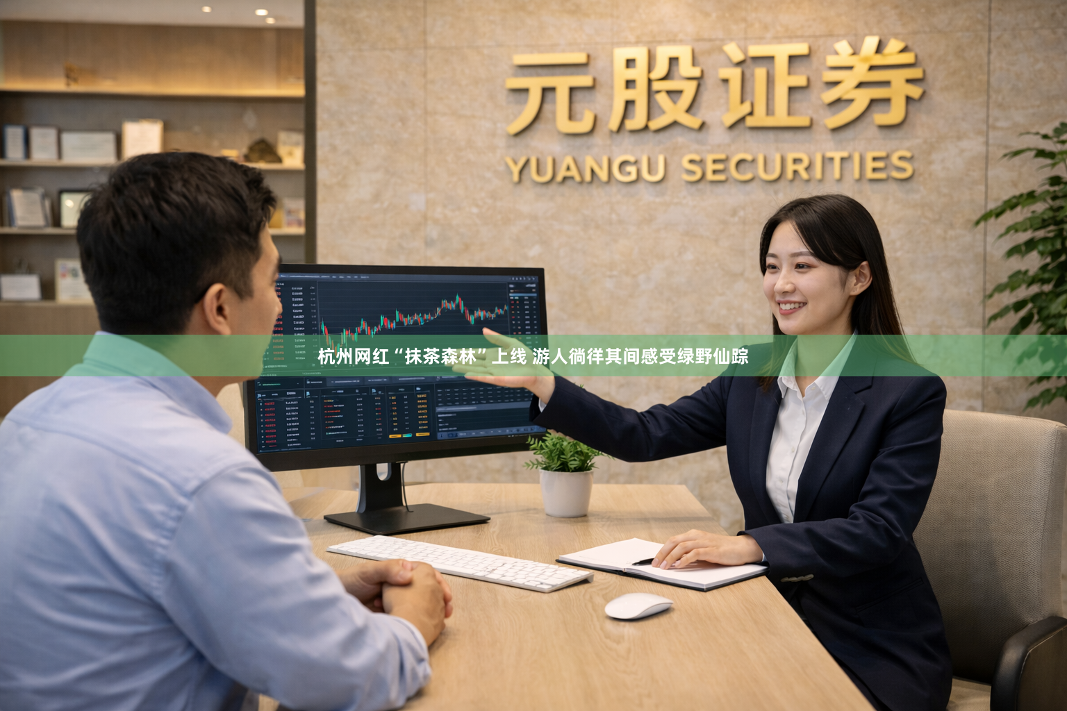 杭州网红“抹茶森林”上线 游人徜徉其间感受绿野仙踪