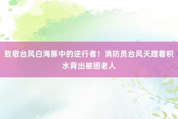致敬台风白海豚中的逆行者！消防员台风天蹚着积水背出被困老人