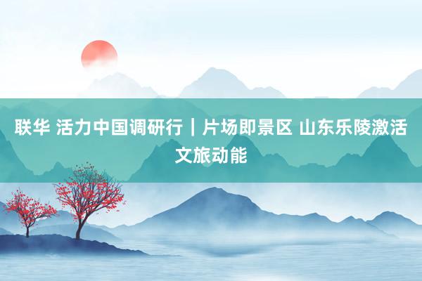 联华 活力中国调研行｜片场即景区 山东乐陵激活文旅动能